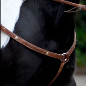 Breast collar(closing down shop this week, this will be deleted soon)